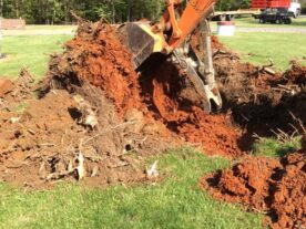 excavating tree